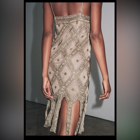 Zara limited edition EMBROIDERED TULLE Mini DRESS - Picture 4 of 15